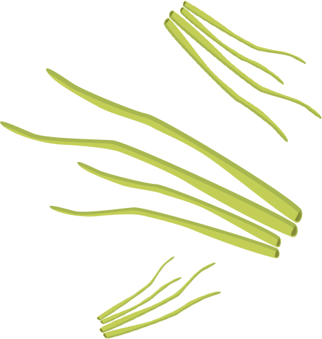 Celery