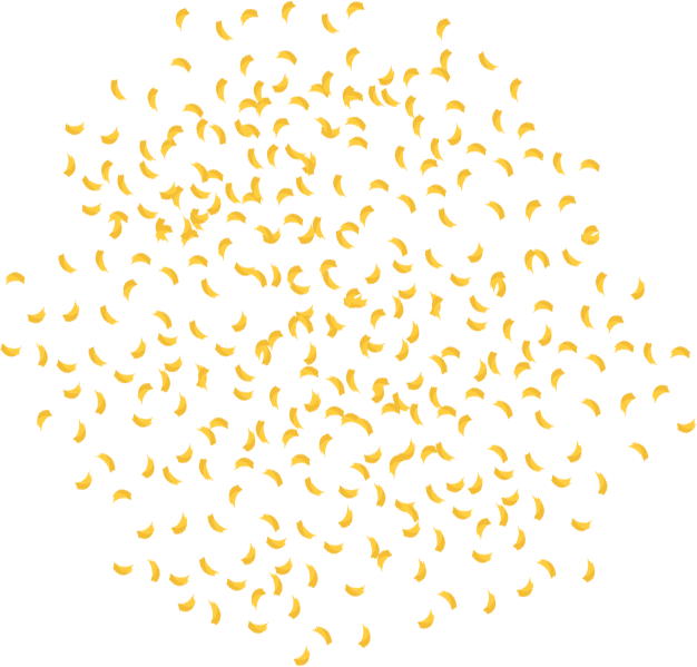 Cheese, Shredded
