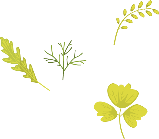 Garnishes