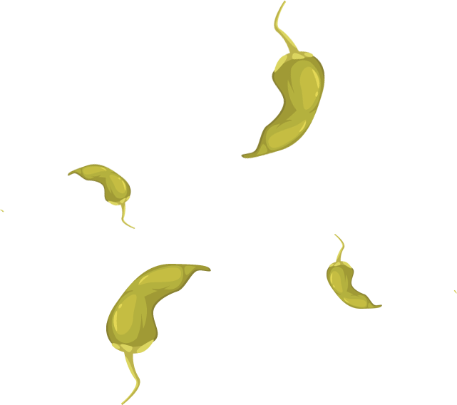 Green Peppers