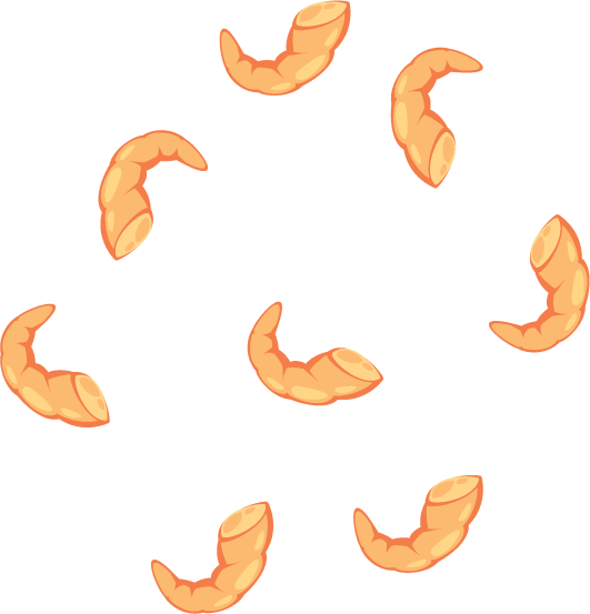 Shrimp